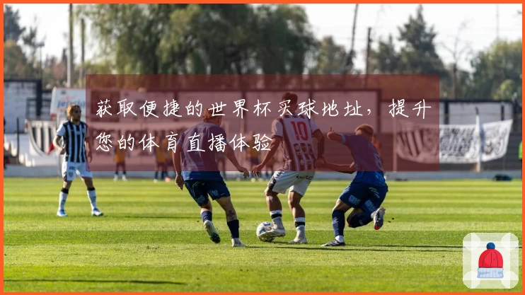 获取便捷的世界杯买球地址，提升您的体育直播体验