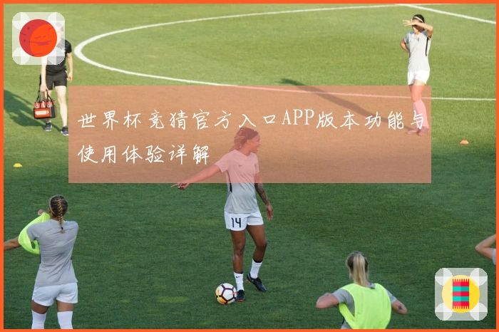 世界杯竞猜官方入口APP版本功能与使用体验详解